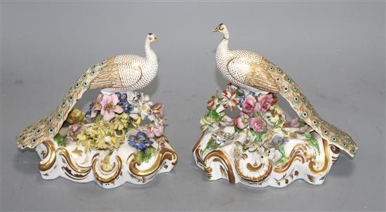 A pair of Derby figures of peacocks, c.1840, red printed crown D mark, H. 15.5 and 16cm